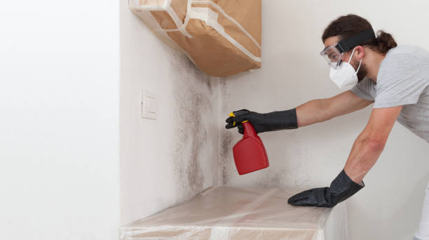 Professional Bathroom Mold Removal technician working in Chincoteague Island, VA